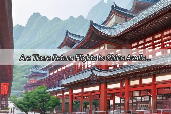 Are There Return Flights to China Available Discover Your Gateway Back Home